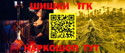 соль ск Славгород