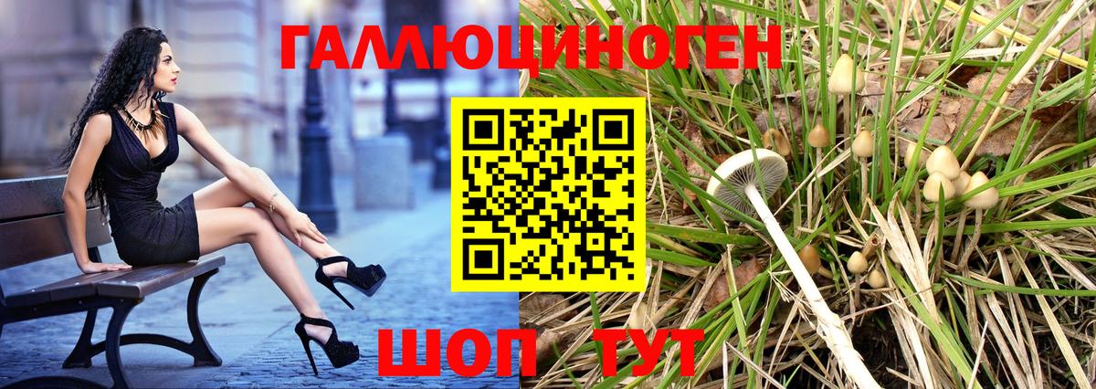 Галлюциногенные грибы GOLDEN TEACHER  Вход с VPN  Галлюциногенные грибы MAGIC MUSHROOMS  Новокузнецк 
